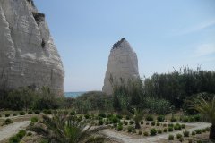 Edizione 2011 - Le foto in concorso